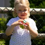 Natur forstørrelsedåse