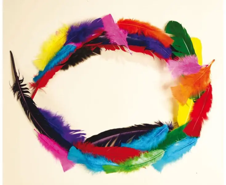 Farverige Fjer, 24 stk.