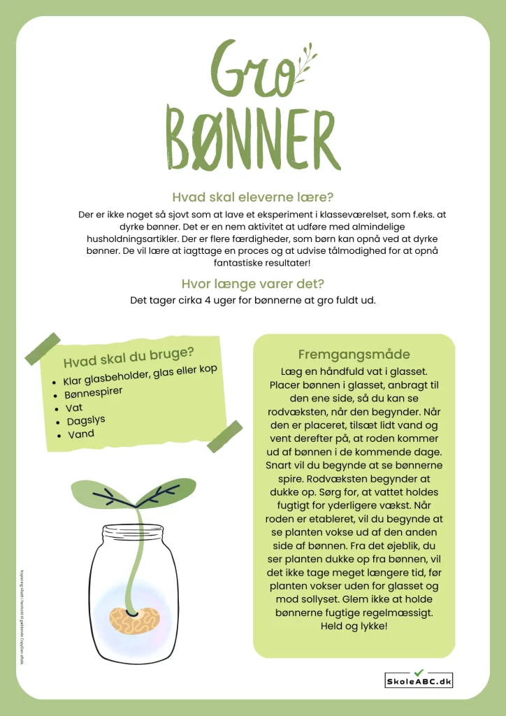 Gro Bønner Aktivitet