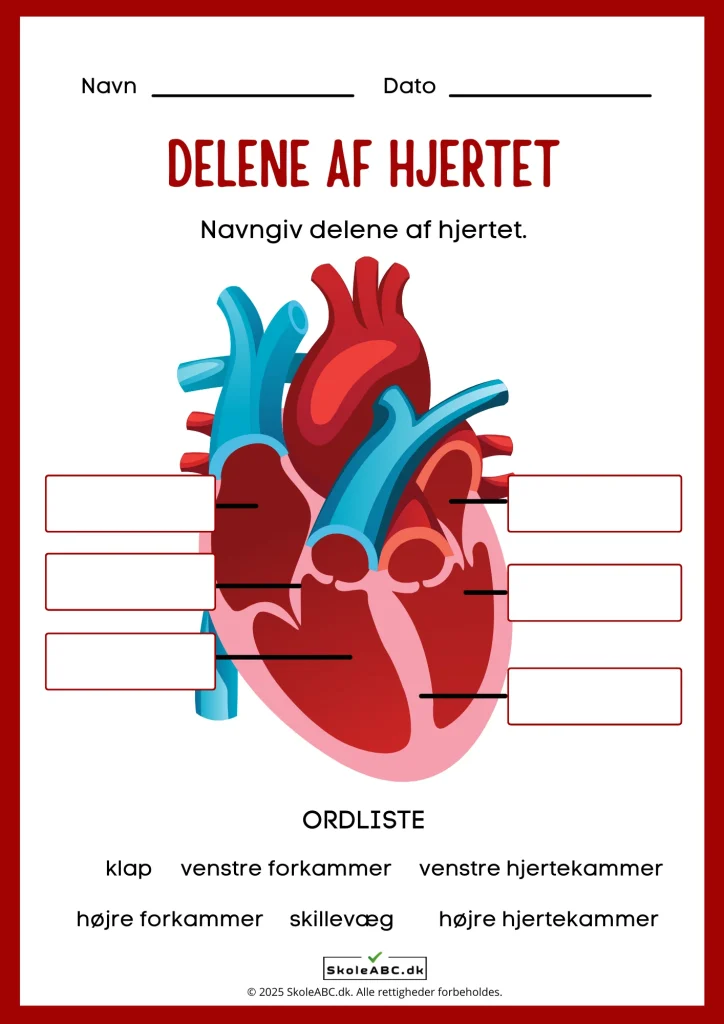Dele af Hjertet