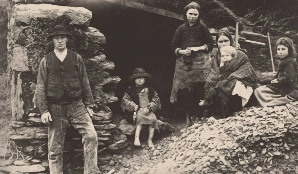 Den irske hungersnød