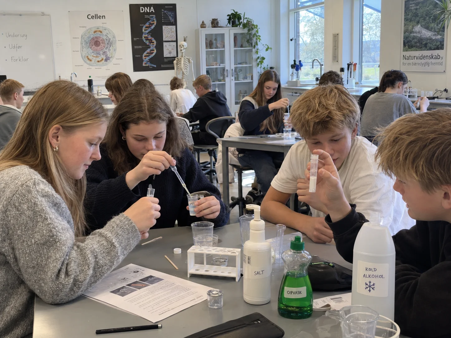 Elever i dansk naturfagslokale arbejder praktisk med udvinding af DNA